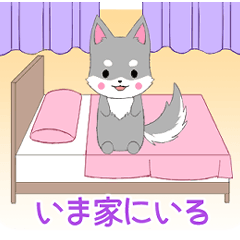 [LINEスタンプ] 飛び出す！ちびハスキー8【何してる？】