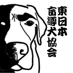 [LINEスタンプ] 盲導犬支援スタンプ3弾 使える⁉︎日常会話