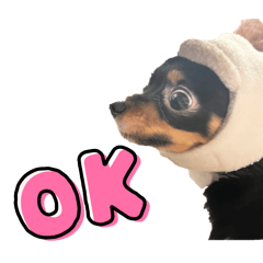 [LINEスタンプ] ペロ子とぽんすけ