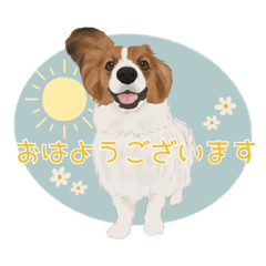 [LINEスタンプ] パピヨンの海くんスタンプ♡♡