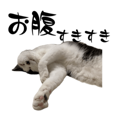 [LINEスタンプ] みい子からパパへ5