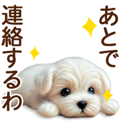 [LINEスタンプ] ずーっと関西弁♡羊毛マルチーズの家族連絡の画像（メイン）