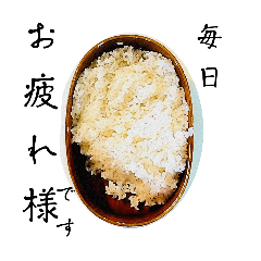 [LINEスタンプ] 今日のお弁当【メッセージ】