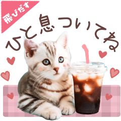 [LINEスタンプ] 飛び出す♡夏の猫ちゃんスタンプ♪