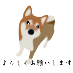 [LINEスタンプ] 柴犬（しばいぬ）スタンプ