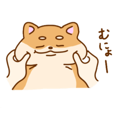 [LINEスタンプ] よしばの日常