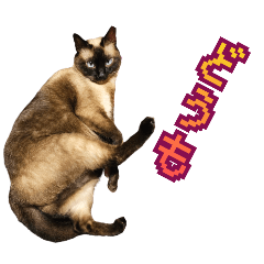 [LINEスタンプ] あざとかわいい猫 3の画像（メイン）