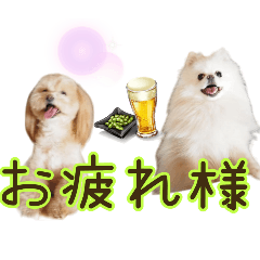 [LINEスタンプ] れん君ひまりちゃん