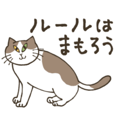 [LINEスタンプ] オープンチャットで使いやすい♡猫だらけの画像（メイン）