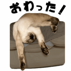 [LINEスタンプ] サプライズ部No8