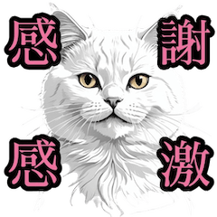 [LINEスタンプ] リアルねこ日和3