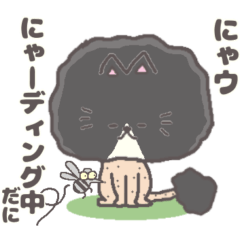 [LINEスタンプ] サマーカットにゃんこ ハチワレ静岡方言