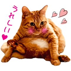 [LINEスタンプ] 猫のしずくスタンプ。②