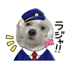 [LINEスタンプ] コロンの日常です2