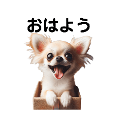 [LINEスタンプ] チワワの楽しい1日