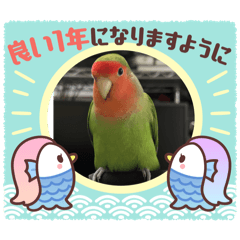 [LINEスタンプ] コザクラインコのうめちゃん4