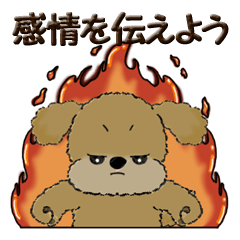 [LINEスタンプ] プードルちゃん『感情を伝えよう』