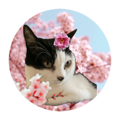 [LINEスタンプ] みい子からあなたへ13