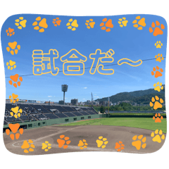 [LINEスタンプ] 野球だ〜、応援するぞ(^-^)