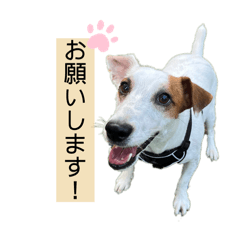 [LINEスタンプ] 豆次郎スタンプver.2