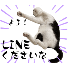 [LINEスタンプ] みい子からパパへ7