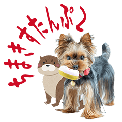 [LINEスタンプ] ちまきスタンプ2byKumicco