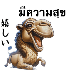 [LINEスタンプ] らくだタイ語の画像（メイン）