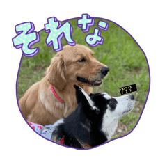 [LINEスタンプ] エドワードとモイの日常