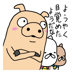 [LINEスタンプ] ブタネコ猫フィーリング