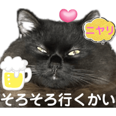 [LINEスタンプ] 黒猫 ルナ院長152にゃんめ