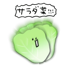 [LINEスタンプ] シンプル サラダ菜 日常会話の画像（メイン）