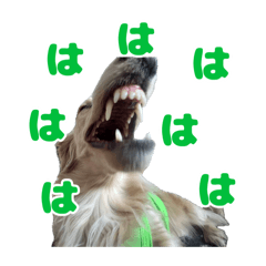 [LINEスタンプ] 愛すべき家族たち1