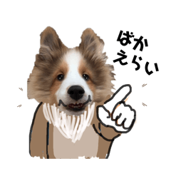 [LINEスタンプ] しぞ〜か犬