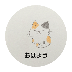 [LINEスタンプ] 三毛猫のみーの日常