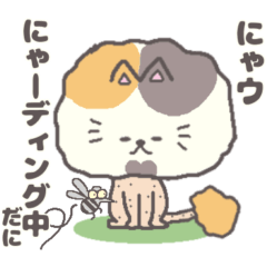 [LINEスタンプ] サマーカットにゃんこ パステル三毛 静岡