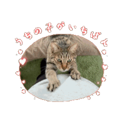 [LINEスタンプ] 動くミ