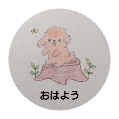 [LINEスタンプ] プードルの兄弟