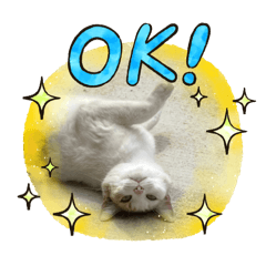 [LINEスタンプ] 猫のニャースとしろちゃん