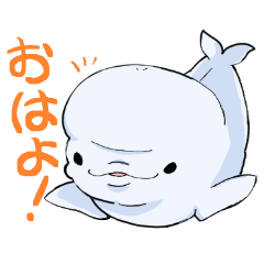 [LINEスタンプ] シロイルカとなかまたち