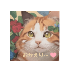 [LINEスタンプ] ねこの日常あいさつスタンプ