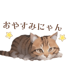 [LINEスタンプ] ねこの日常会話だにゃん