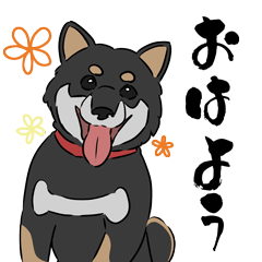 [LINEスタンプ] 表情豊かな柴犬 秋葉ちゃんスタンプ