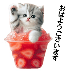 [LINEスタンプ] かき氷キティの画像（メイン）