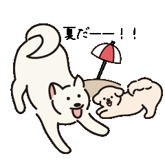 [LINEスタンプ] CocoとNutsの夏