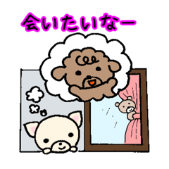 [LINEスタンプ] ふわふわ犬の日常【思いやり】