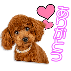 [LINEスタンプ] 田口家のロジャーちゃん