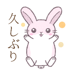 [LINEスタンプ] あいさつ※うさぎさん