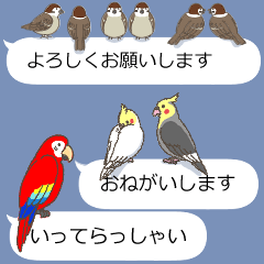 [LINEスタンプ] 吹き出しに群がる鳥（みんなが毎日使える）の画像（メイン）