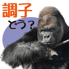 [LINEスタンプ] 【公式】東山動植物園です