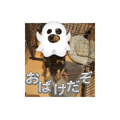 [LINEスタンプ] 面白スタンプ(笑)